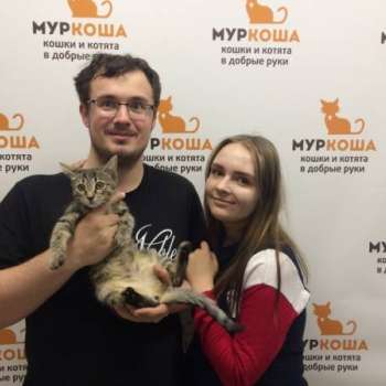 Пчюча