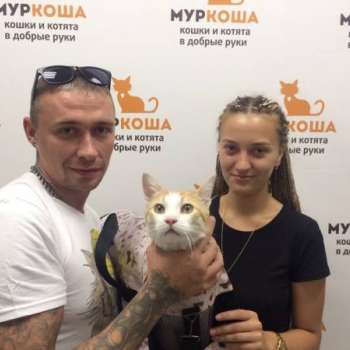 Чиффа