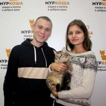 Каста