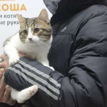 Кэм