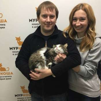 Пушок