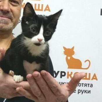 Чебурашка