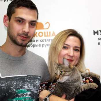 Стефания