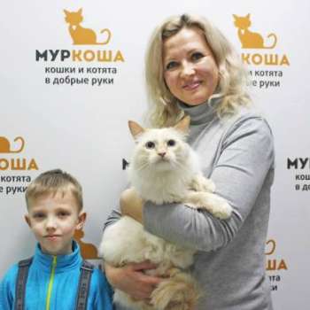 Шива