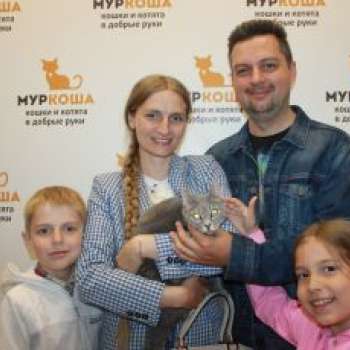 Пейдж