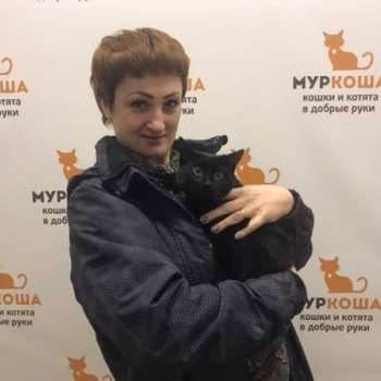 Тайра