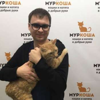 Огнеслав