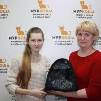 Полла