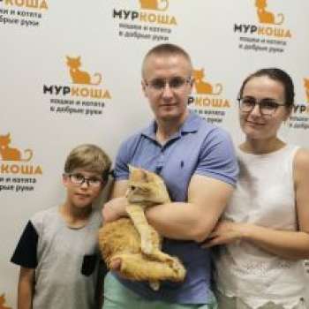 Рыжий Боб