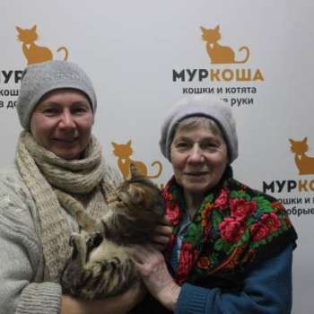 Степашка