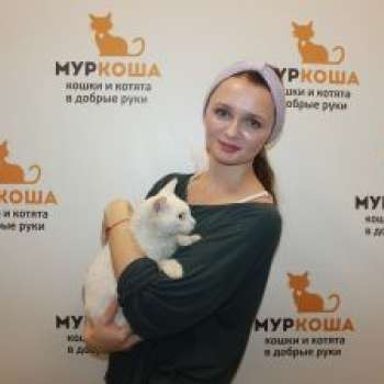 Долли