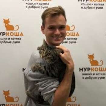 Котофей