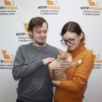 Шмелек