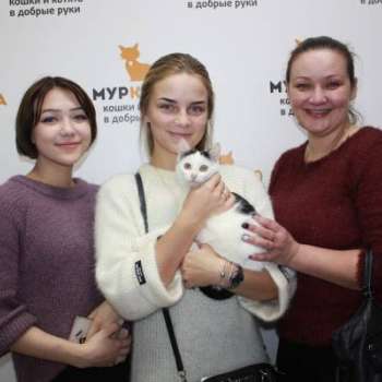 Бас