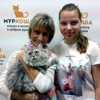 Елизандра