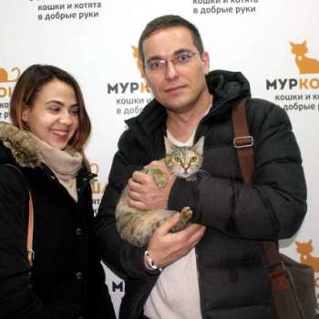 Китнесс