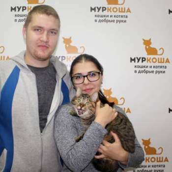 Петрика