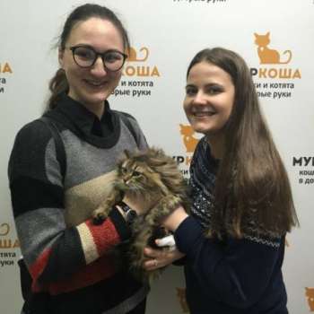 Монтсеррат