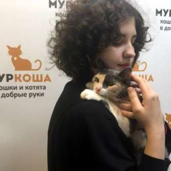 Нерисса