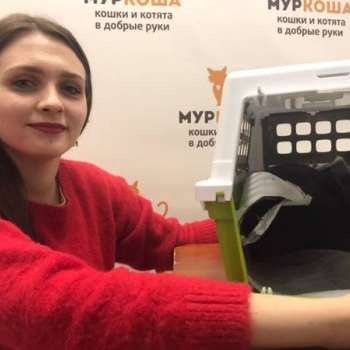 Мышонок