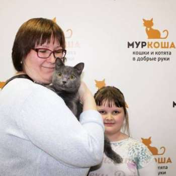 Юнити
