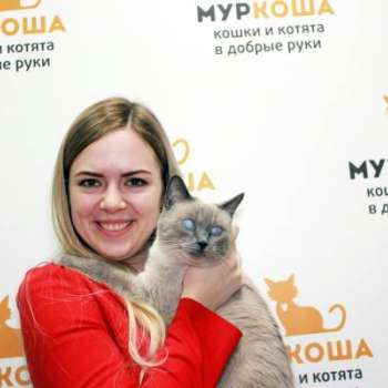 Рисинка