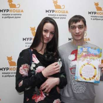 Пиксель
