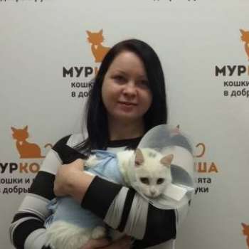 Таруса