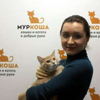 Академик