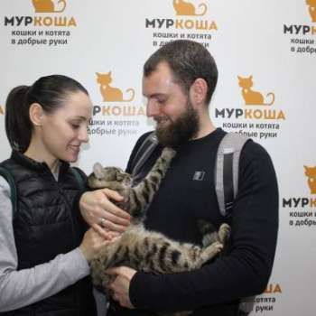 Ирис