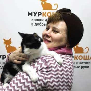 Маккартни