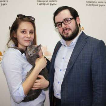 Добрыня
