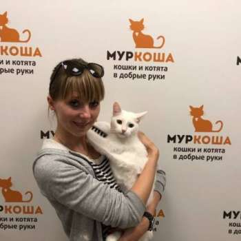 Улита