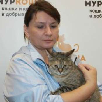 Феличита