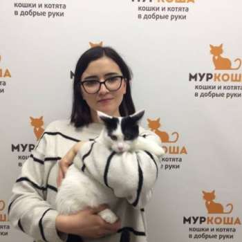 Стасик