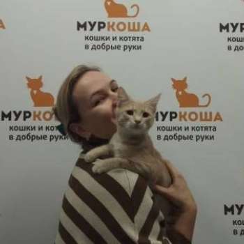 Сэнти