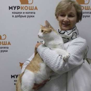 Тигр