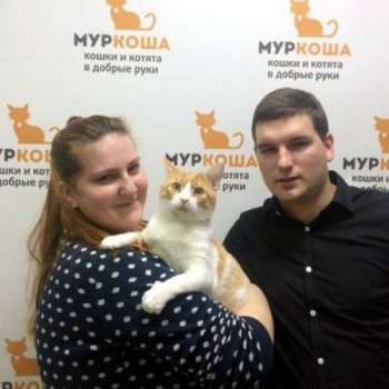 Тулуз