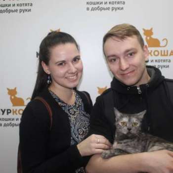 Клякса