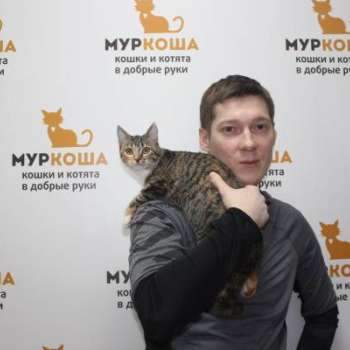 Клепа