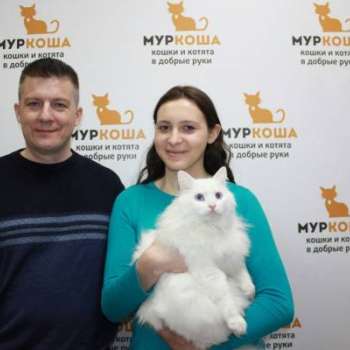Милок
