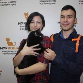 Лексайн