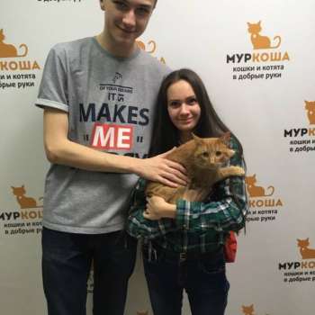 Феникс