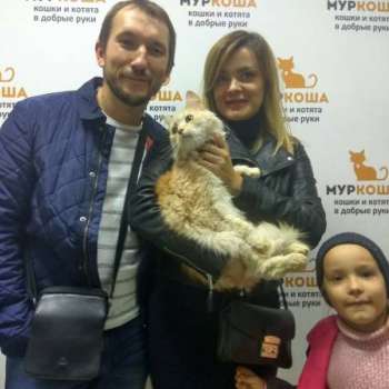 Тихон