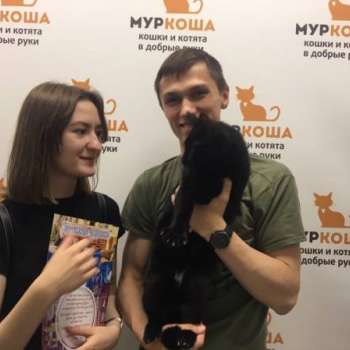 Панч