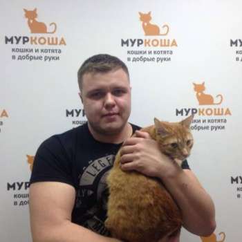 Рудольф