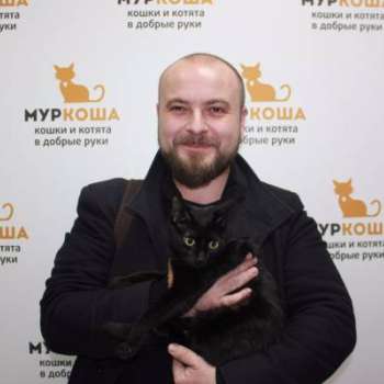 Звездочка