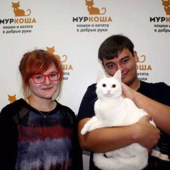 Лилия