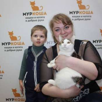 Шкипер