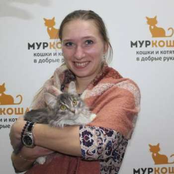 Кейлин